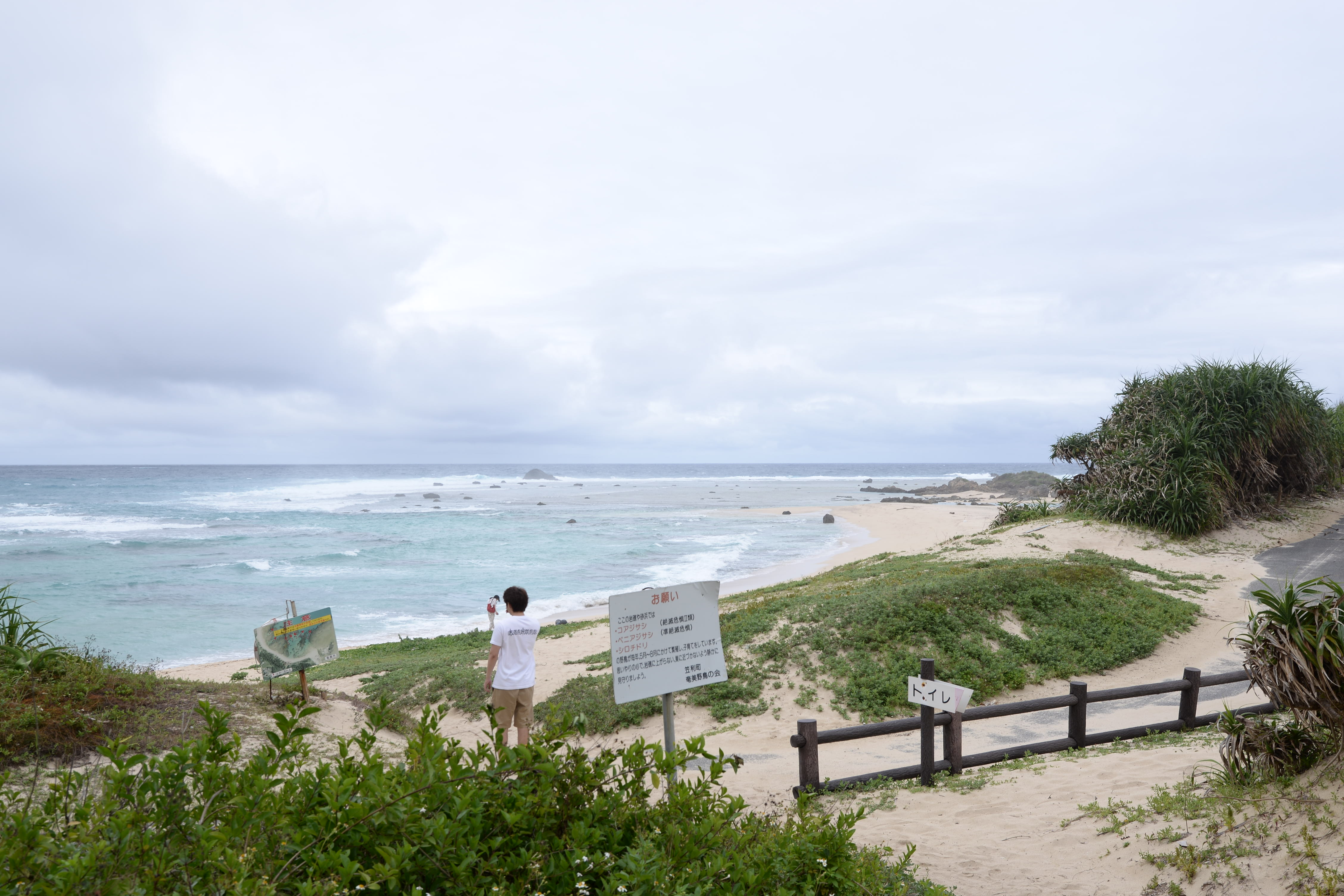 奄美大島に3泊4日で旅行してきた 観光のおすすめモデルコースは ファミトラ 家族 夫婦旅行におすすめ観光スポット紹介ブログ